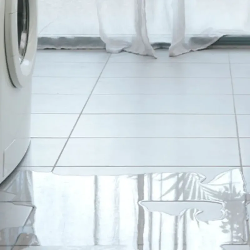 Appliance Leak Cleanup in Myrtle Creek, OR