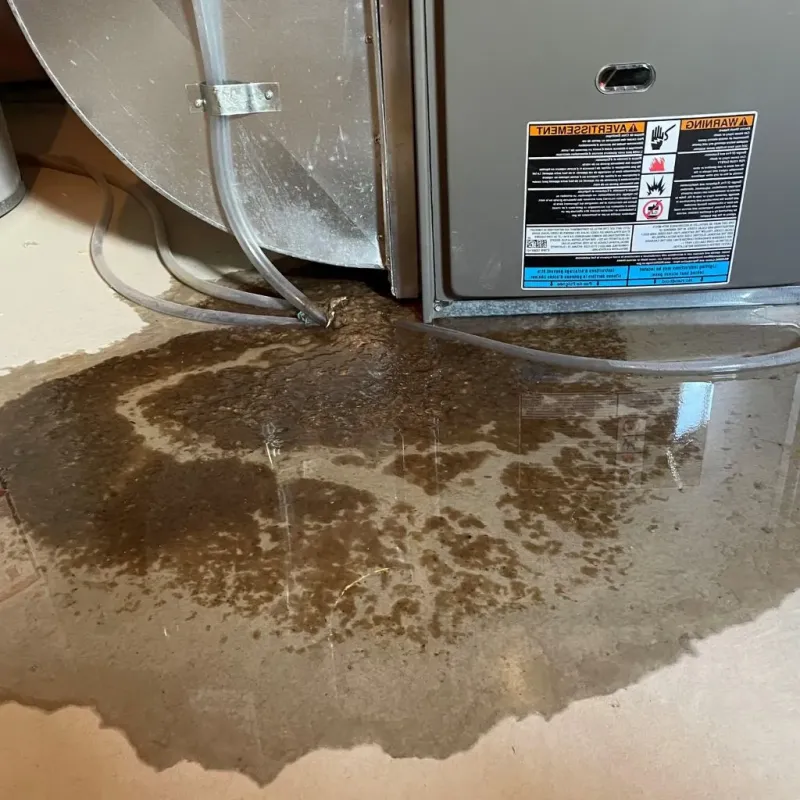 Pipe Burst and Leak Restoration in Myrtle Creek, OR