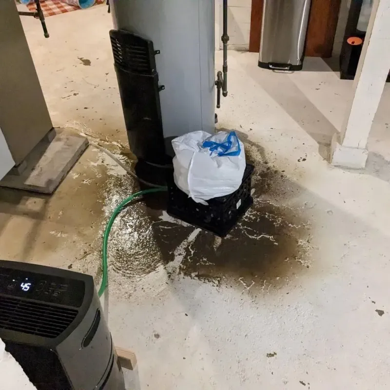 Sewage Backup Cleanup Service in Myrtle Creek, OR